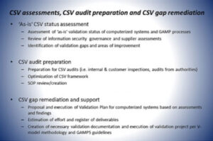 CSV Assessment, Audit Preparation, and Gap Remediation - Vimachem